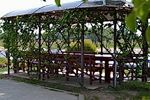 Металлическая беседка под виноградником (25 человек)